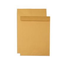 Quality Park Jumbo Size Kraft Envelope, Cheese Blade Flap, Fold-Over Closure, 15 x 20, Brown Kraft, 25/Pack
