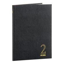 Wilson Jones Single Page Columnar Book, 9 1/4" x 7", 2 Columns, 40 Sheets