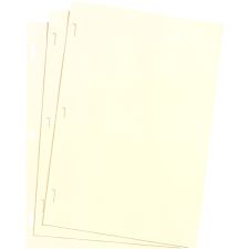 Wilson Jones Ivory Ledger Paper, 8 1/2" x 14", Plain, 100 Sheets/Box - 28 lb - Legal - 8 1/2" x 14" Sheet Size - 3 x Holes - Ivory Sheet(s) - Paper - 100 / Box