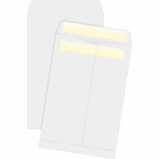 Business Source Press/Seal Catalog Envelopes - Catalog - 6" Width x 9" Length - 28 lb - Self-sealing - White - 100 / Box