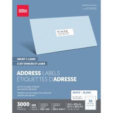 Inkjet/Laser Address Labels, Rectangle, 1" x 2 5/8", White, Pack Of 3,000