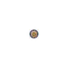 1" Circle 4 Color Process (100/PK)