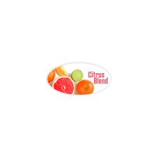 2" x 4" Oval 4 Color Process (100/PK)