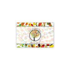 4" x 6" Postcards Front Only (25/PK)