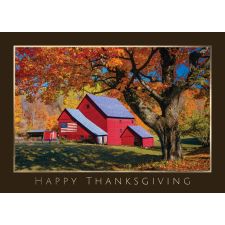 Patriotic Thanks (25/PK) - TAYLRVOCHP165NAVI