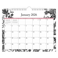 2026 Blue Sky Monthly Wall Calendar, 11 x 8-3/4, Analeis, January To December, 100028