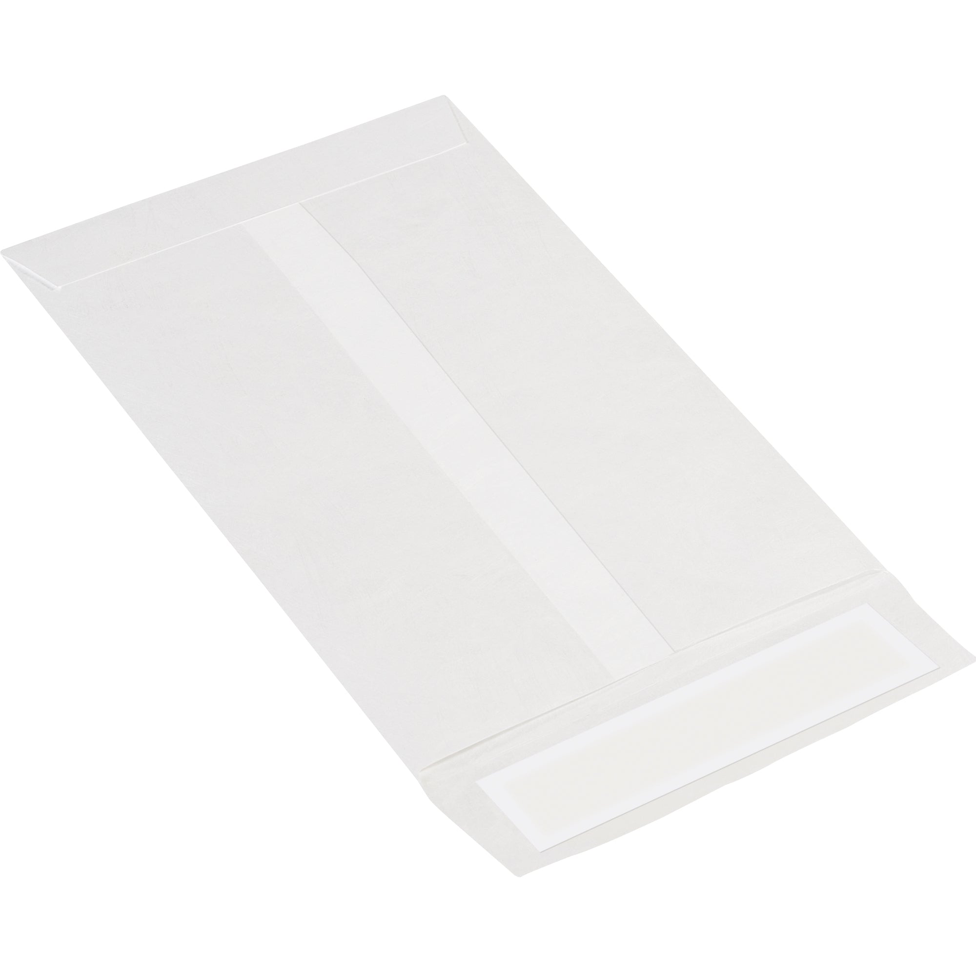 6 x 9" White Flat Tyvek Envelopes (TYF0609WH) Case Of 100
