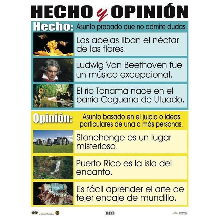 CARTEL HECHO Y OPININ