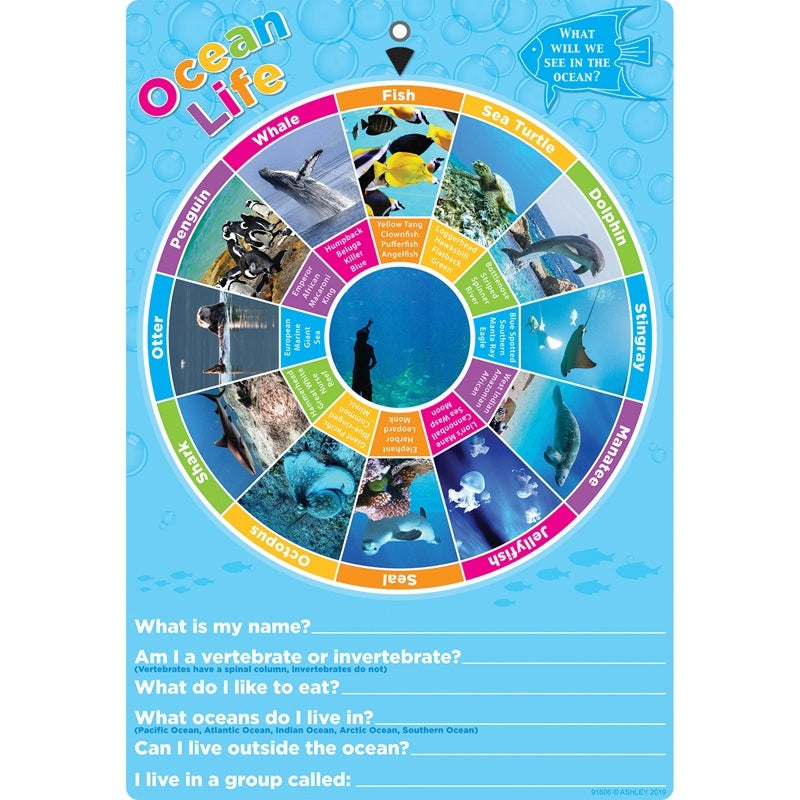 Ashley Smart Poly Smart Wheel Ocean Animals (ASH91606)