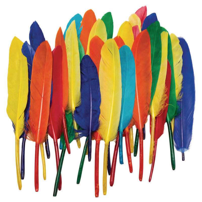 Creativity Street Duck Quill Feathers, Small (PAC 4505)