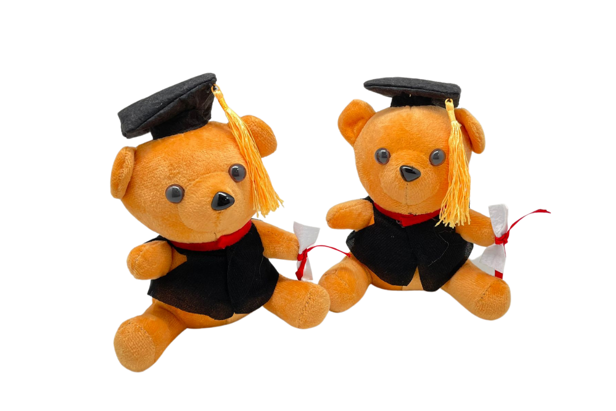 Large Graduation Bear (18 cm)Assorted