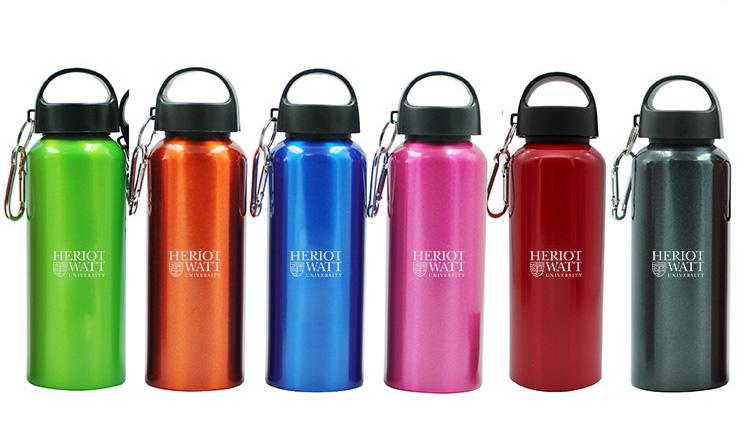 Stainless Steel Drinking Bottle With Broad Handle And Clip500 