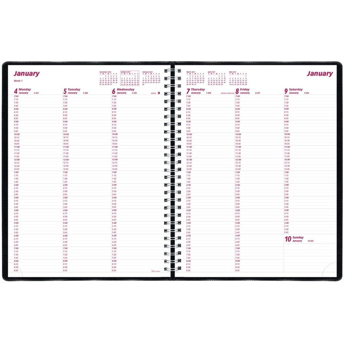 Blueline Essential Weekly Appointment Book