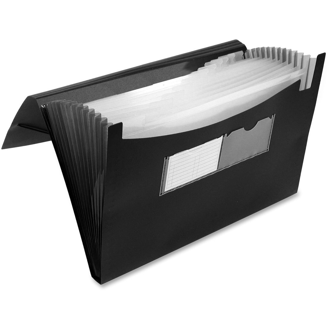 Winnable 13-Pocket Expanding File - Letter, Legal - 10" x 12" , 8 1/2" x 11" , 8 1/2" x 14" Sheet Size - 13 Pocket(s) - Polypropylene - Black - 1 Each