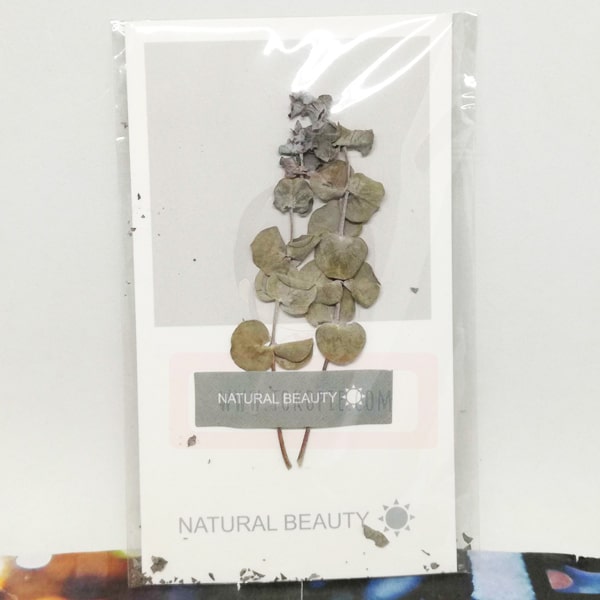 Natural Beauty Flower Card E