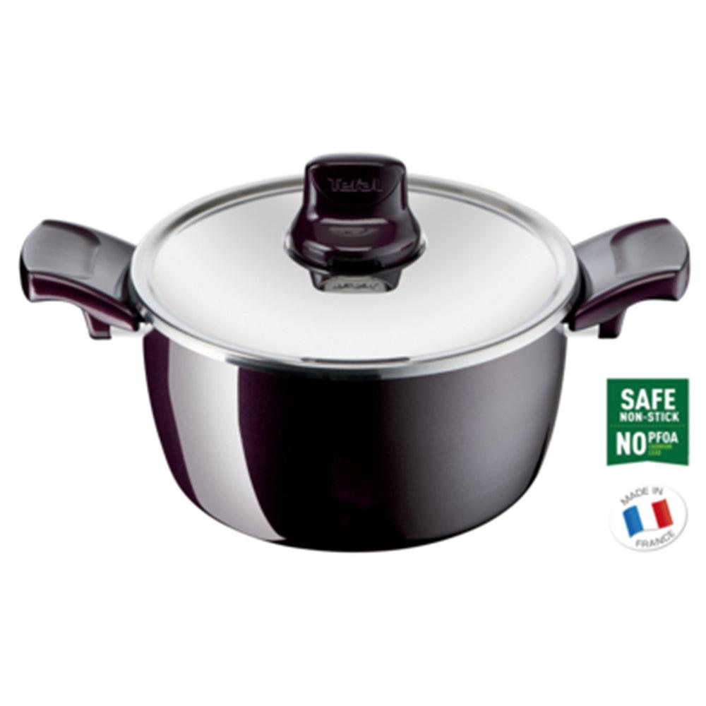 Tefal Resist Intense Stewpot With Stainless Steel Lid 22 cm / D5224582