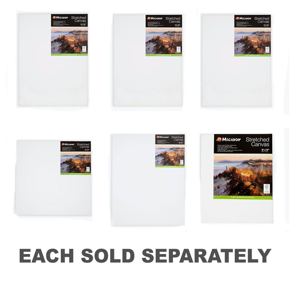 Micador Stretched Canvas203x254mm